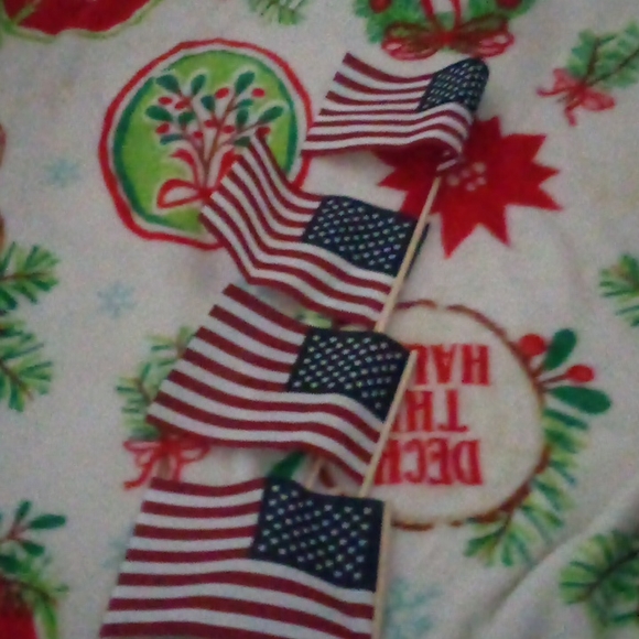 Flags - Picture 4 of 6